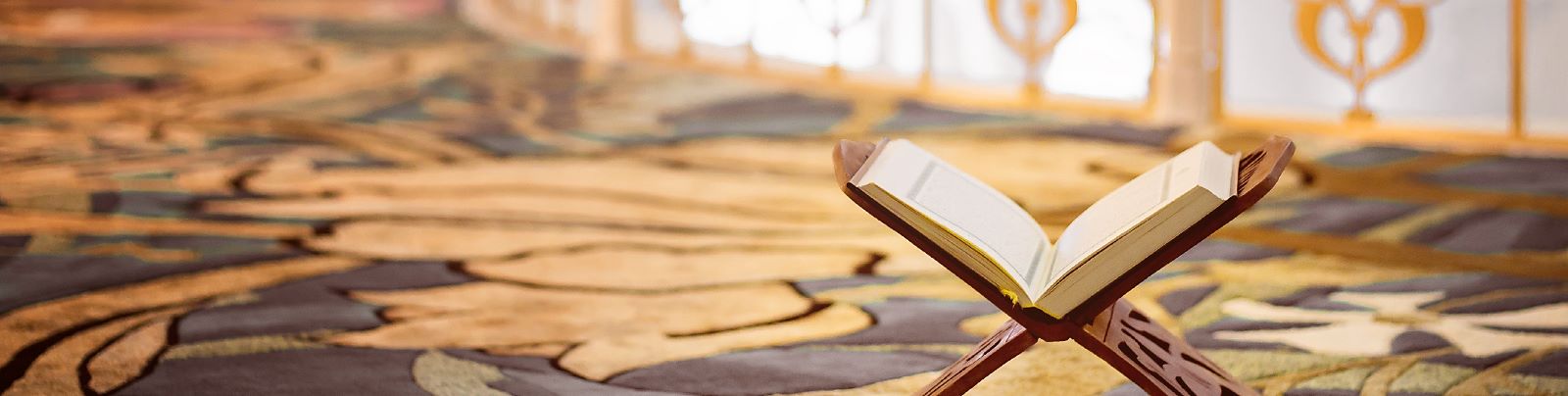 Category Sample Image