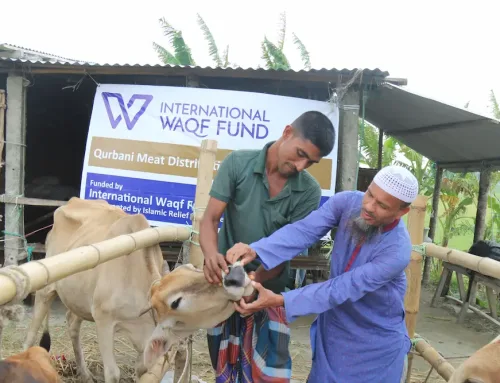 Qurbani Waqf Share: A Sacrifice That Lasts for Generations