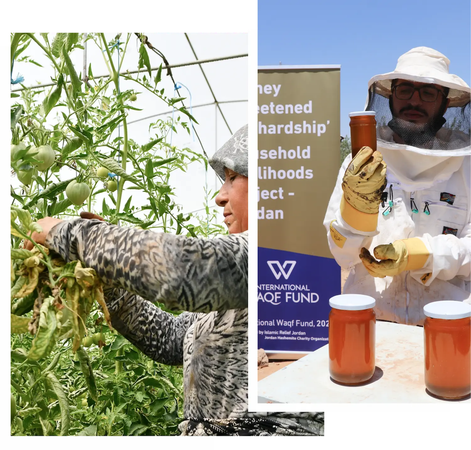 Sustainable Livelihoods Waqf Share