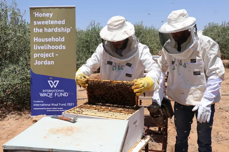 Sustainable Livelihoods